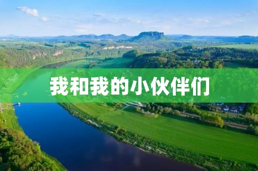我和我的小伙伴们 我和我的小伙伴们