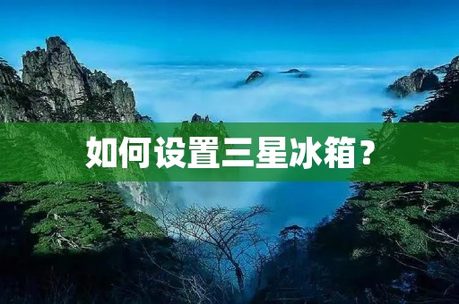 如何设置三星冰箱? 如何设置三星冰箱?