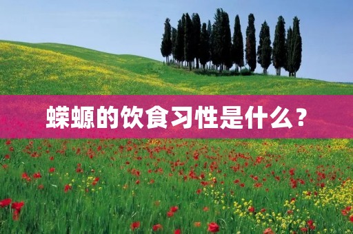 蝾螈的饮食习性是什么?