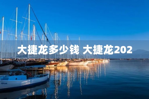 大捷龙多少钱 大捷龙2020