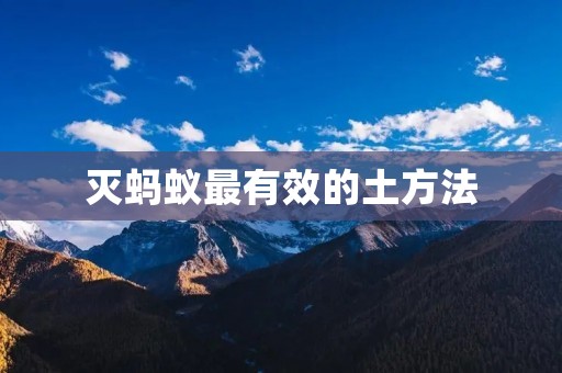 灭蚂蚁最有效的土方法