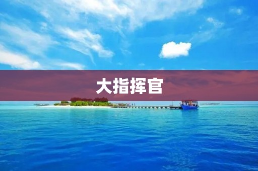 大指挥官:卓越领导者的典范 大指挥官:卓越领导者的典范