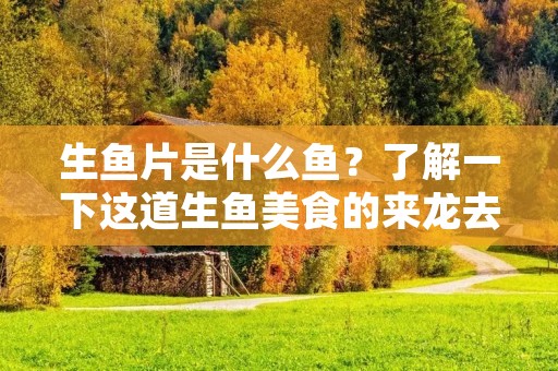 生鱼片是什么鱼?了解一下这道生鱼美食的来龙去脉