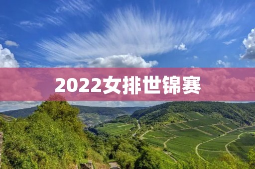 2022女排世锦赛：中国女排再战世界巅峰