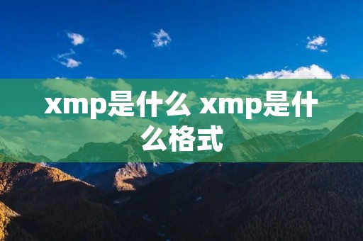 xmp是什么 xmp是什么格式