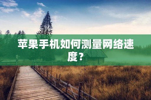 苹果手机如何测量网络速度？