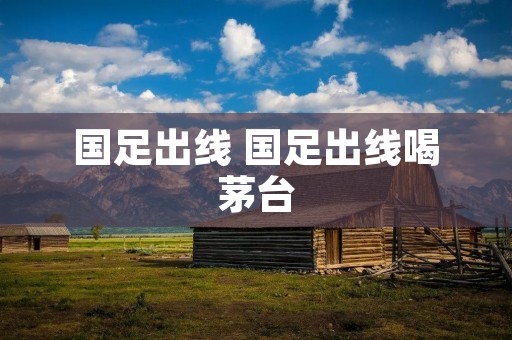 国足出线 国足出线喝茅台