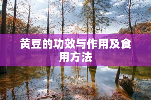 黄豆的功效与作用及食用方法