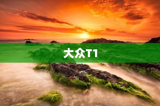大众T1:经典的德国面包车 大众T1:经典的德国面包车