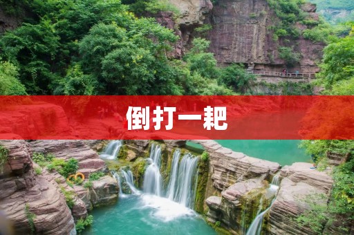 倒打一耙：如何运用这个技巧应对挑战