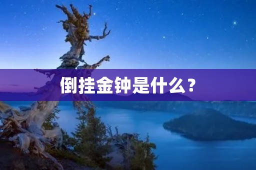 倒挂金钟是什么? 倒挂金钟是什么?