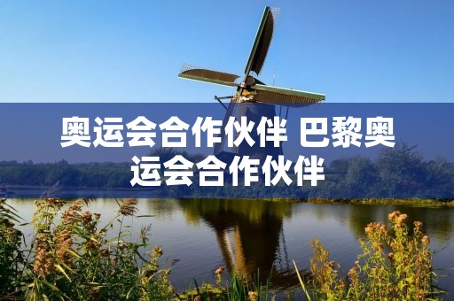 奥运会合作伙伴 巴黎奥运会合作伙伴