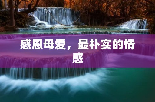 感恩母爱,最朴实的情感 感恩母爱,最朴实的情感