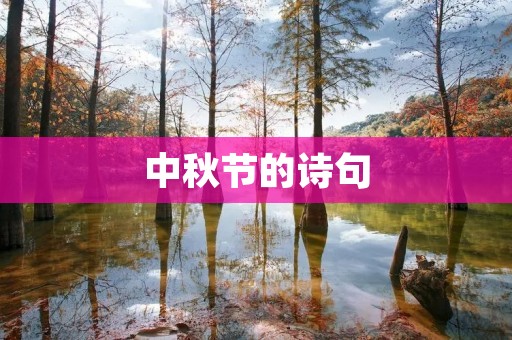 中秋节的诗句：赏月吟诗，共度佳节