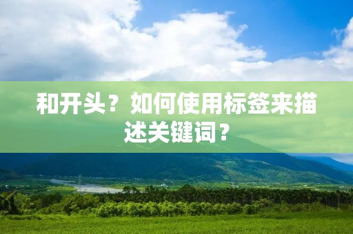 和开头？如何使用标签来描述关键词？
