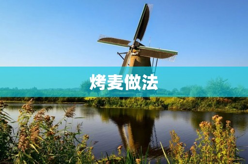 烤麦做法:健康美味的早餐选择 烤麦做法:健康美味的早餐选择