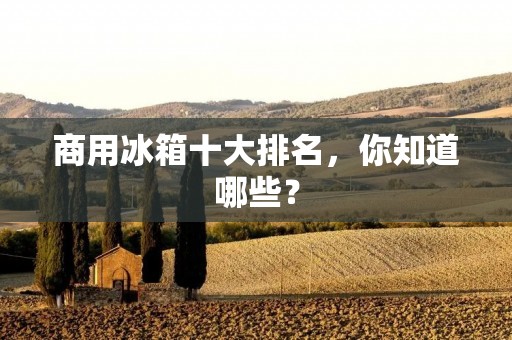 商用冰箱十大排名，你知道哪些？