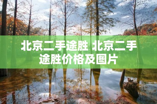 北京二手途胜 北京二手途胜价格及图片