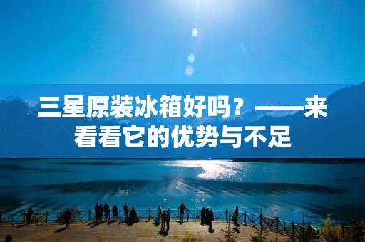 三星原装冰箱好吗?——来看看它的优势与不足 三星原装冰箱好吗?——来看看它的优势与不足