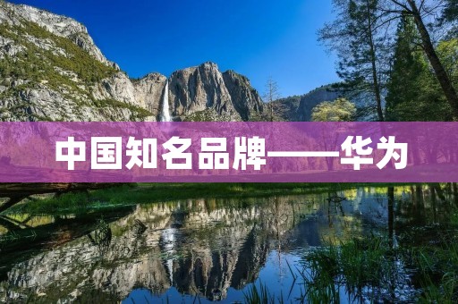 中国知名品牌——华为