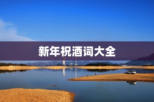 新年祝酒词大全