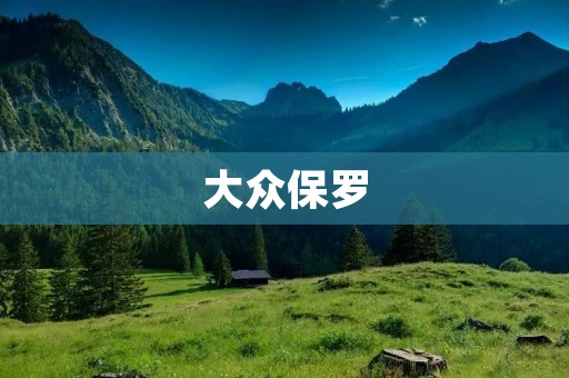 大众保罗:一个拥有强大影响力的社交媒体账号 大众保罗:一个拥有强大影响力的社交媒体账号