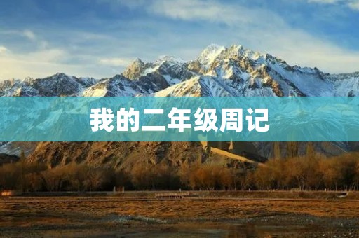 我的二年级周记 我的二年级周记