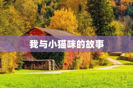 我与小猫咪的故事