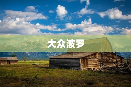 大众波罗:一款性能卓越的家用轿车 大众波罗:一款性能卓越的家用轿车