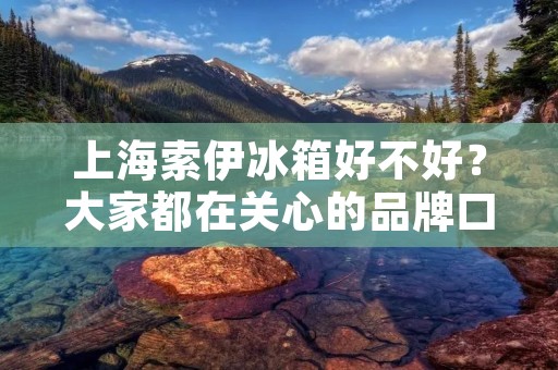 上海索伊冰箱好不好？大家都在关心的品牌口碑如何？