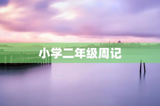 小学二年级周记：我的一周生活
