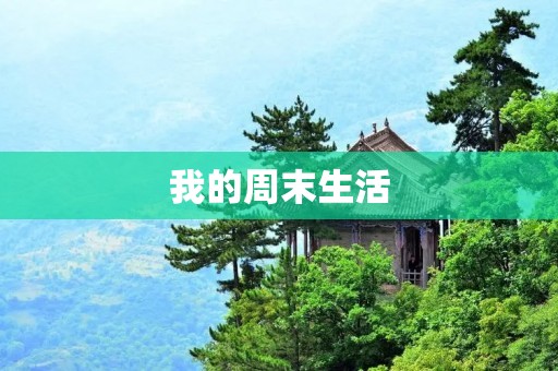 我的周末生活 我的周末生活