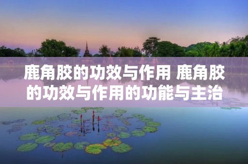 鹿角胶的功效与作用 鹿角胶的功效与作用的功能与主治与用量 鹿角胶的功效与作用 鹿角胶的功效与作用的功能与主治与用量