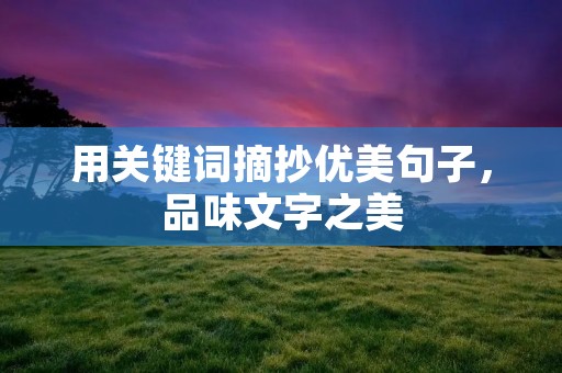 用关键词摘抄优美句子，品味文字之美