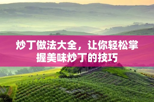 炒丁做法大全,让你轻松掌握美味炒丁的技巧 炒丁做法大全,让你轻松掌握美味炒丁的技巧