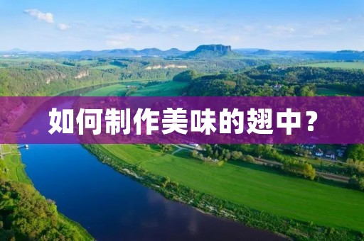 如何制作美味的翅中? 如何制作美味的翅中?