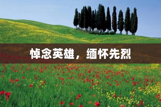 悼念英雄，缅怀先烈