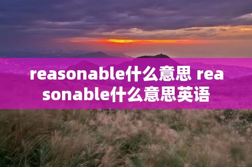 reasonable什么意思 reasonable什么意思英语 reasonable什么意思 reasonable什么意思英语