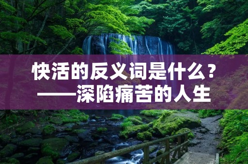 快活的反义词是什么?——深陷痛苦的人生