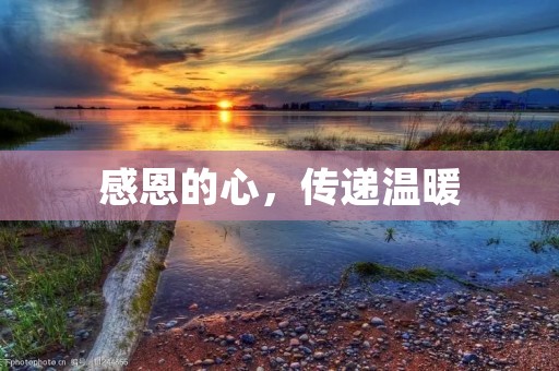感恩的心,传递温暖