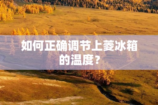 如何正确调节上菱冰箱的温度？