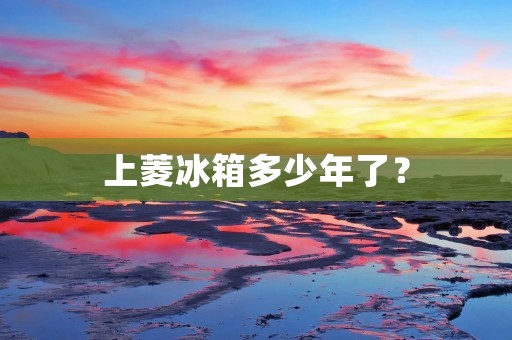 上菱冰箱多少年了？