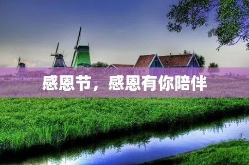 感恩节，感恩有你陪伴