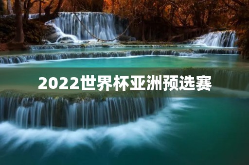 2022世界杯亚洲预选赛：中国队的出线之路