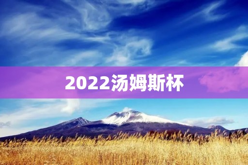 2022汤姆斯杯：中国羽毛球队争夺世界冠军