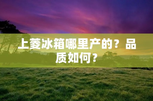 上菱冰箱哪里产的？品质如何？