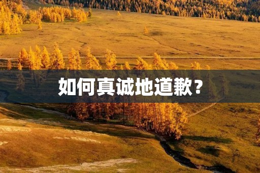 如何真诚地道歉? 如何真诚地道歉?