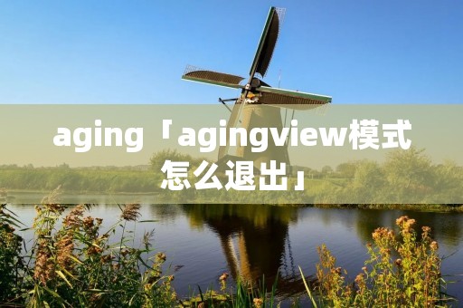 aging「agingview模式怎么退出」