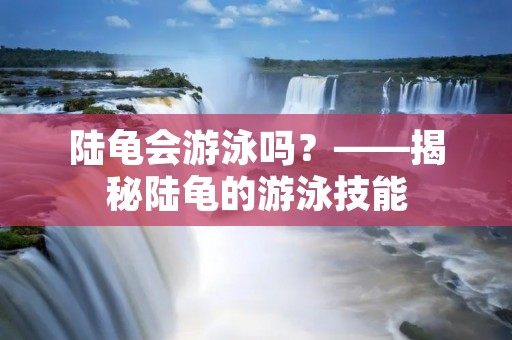 陆龟会游泳吗?——揭秘陆龟的游泳技能