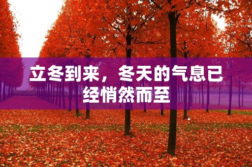 立冬到来，冬天的气息已经悄然而至